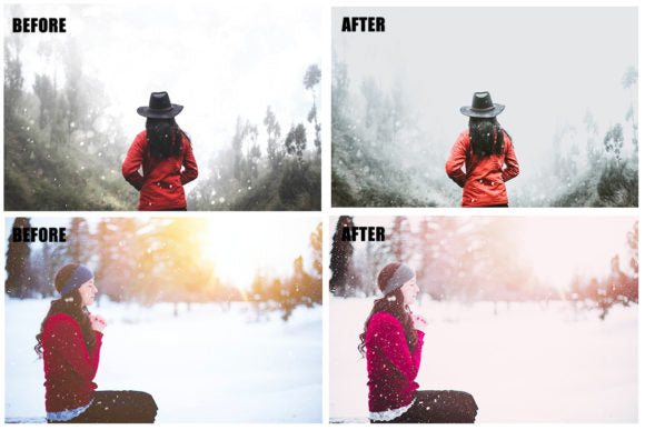1000+ Lightroom Presets  Desktop Edition